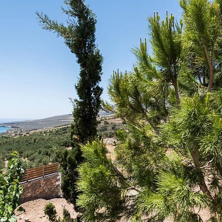 Villa Olvia Sfakia Exterior photo