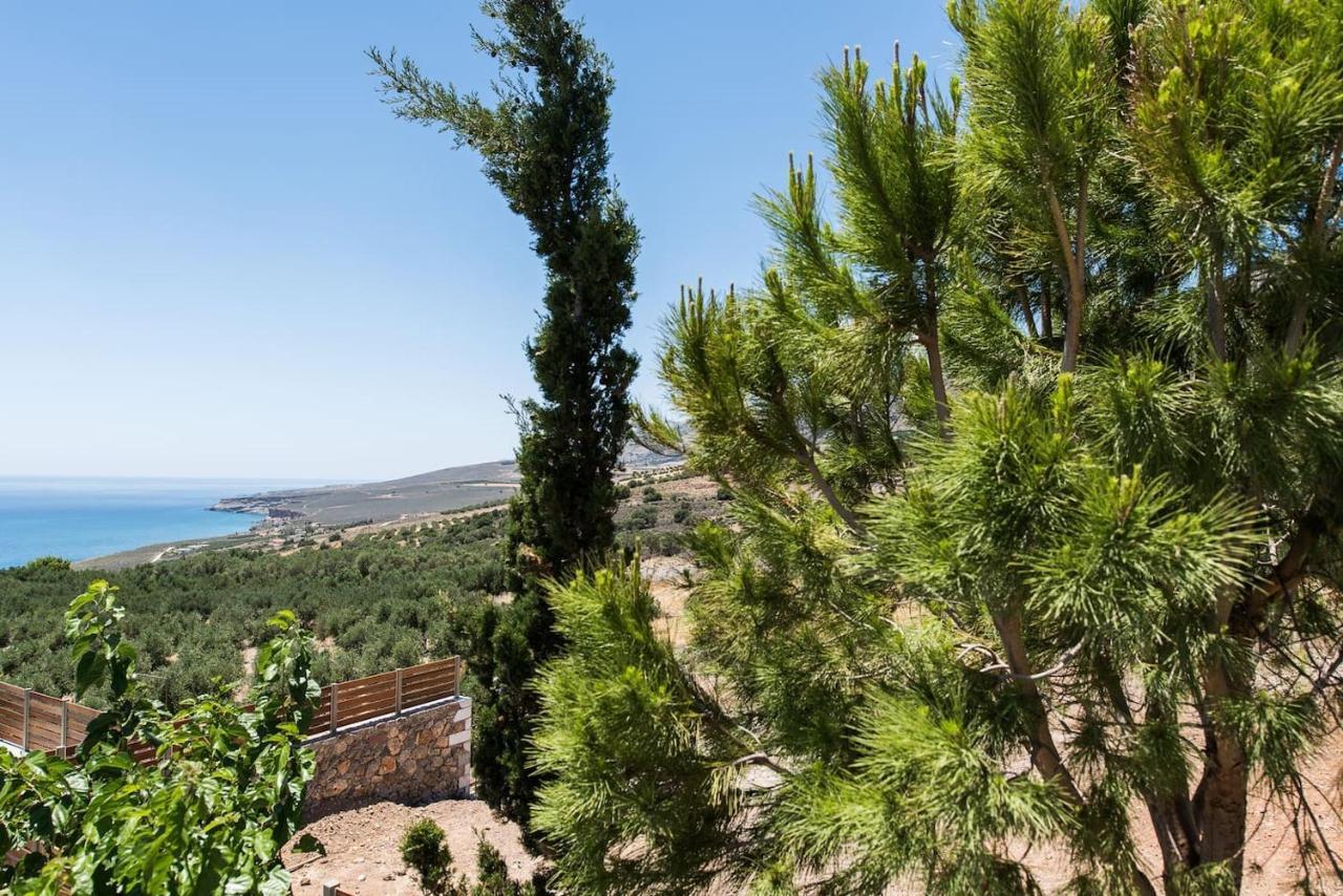 Villa Olvia Sfakia Exterior photo